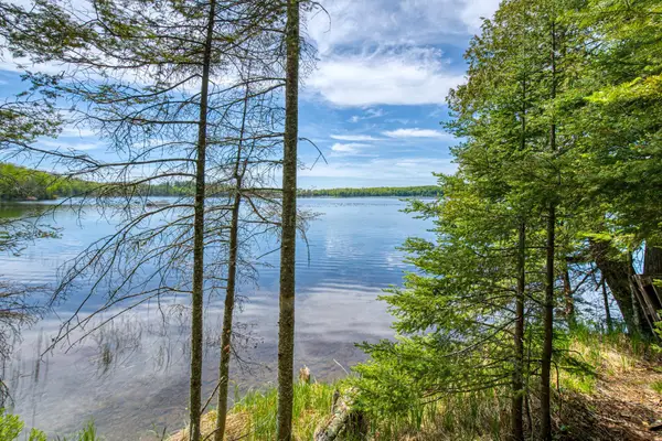 9217 Bald Eagle Rd, Presque Isle, WI 54557