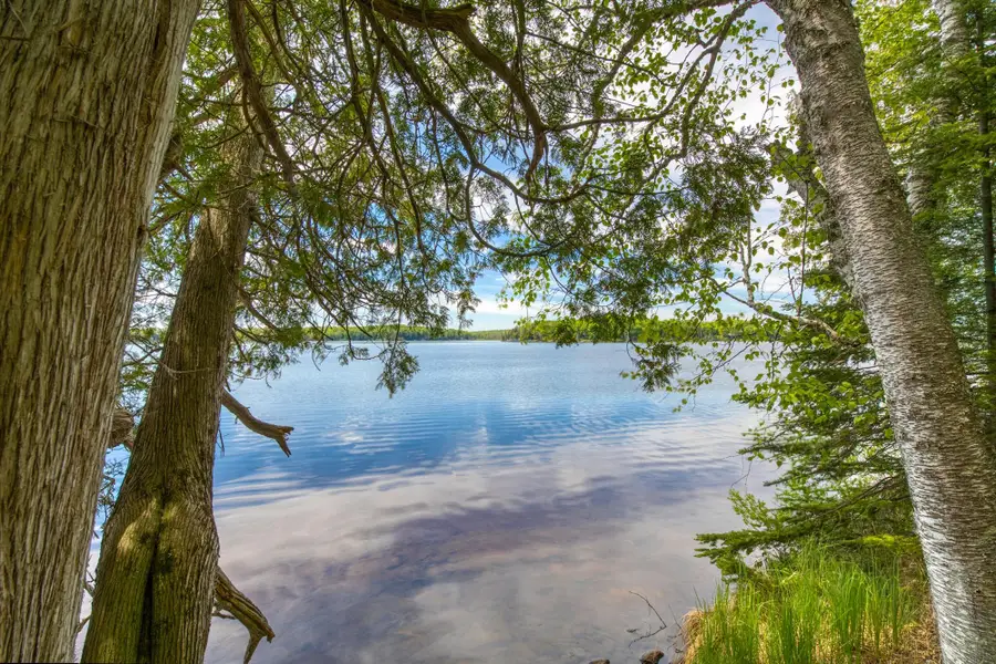 9217 Bald Eagle Rd, Presque Isle, WI 54557 - #2