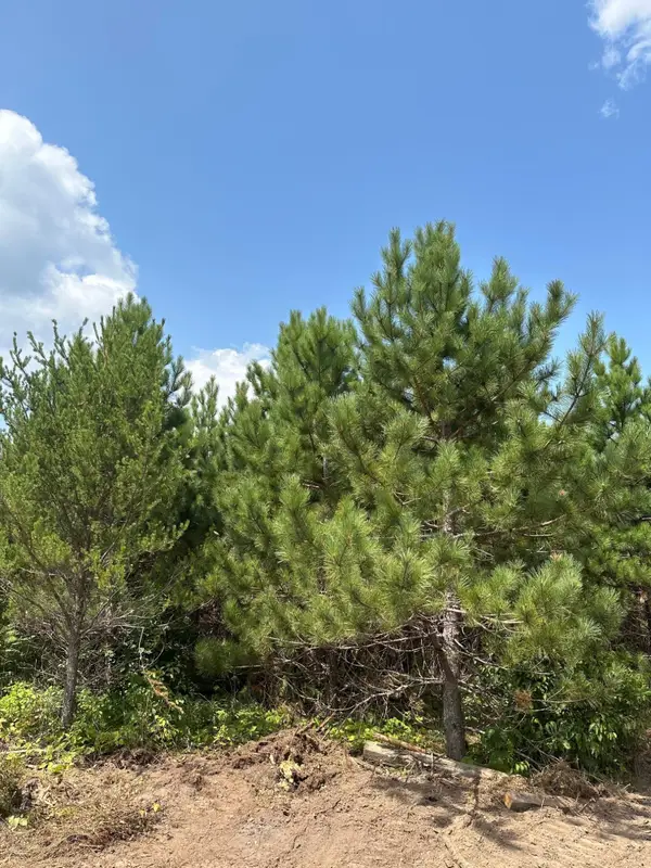ON Cth Y #Lot 10, Tomahawk, WI 54487