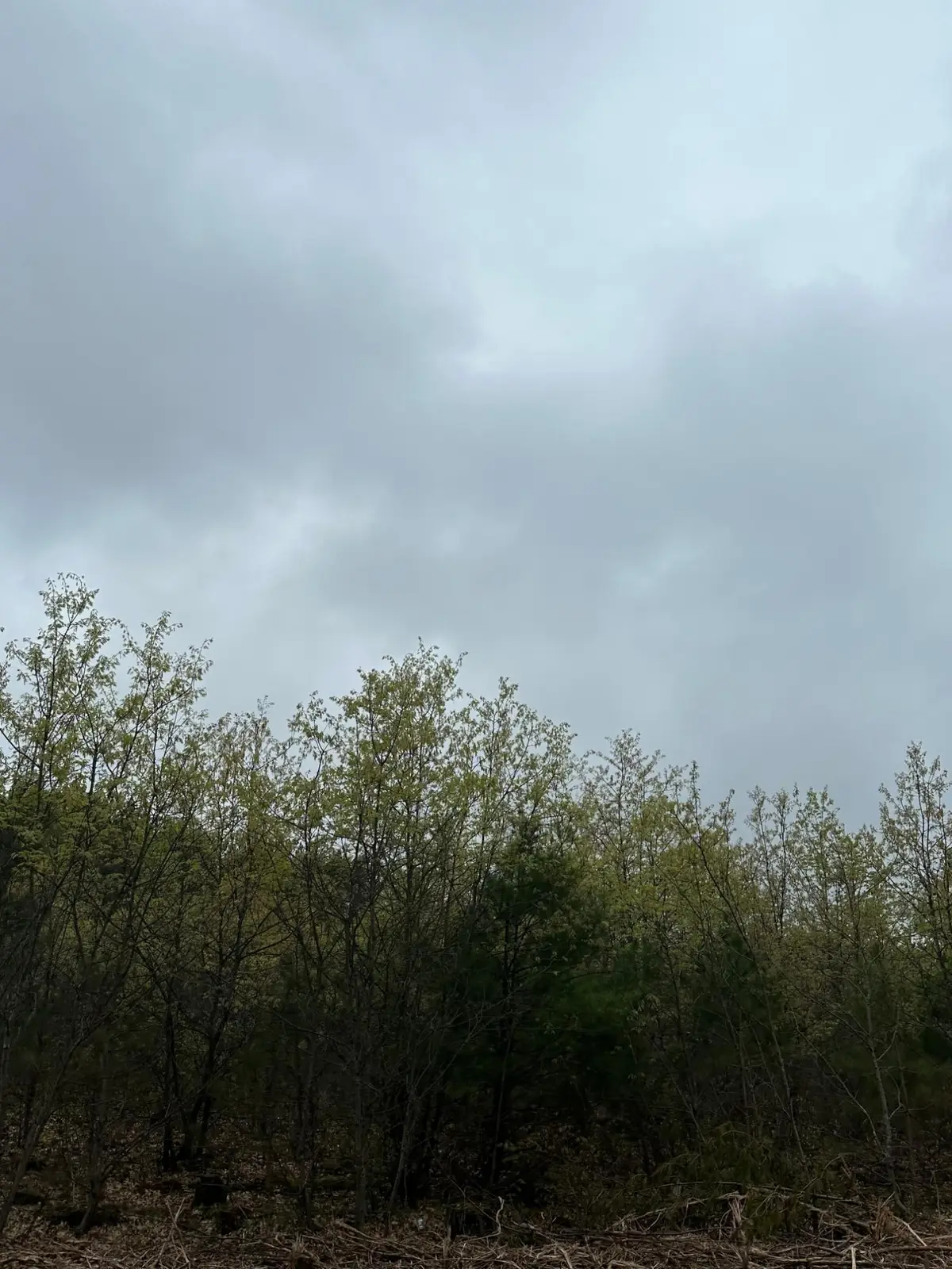 ON Cth Y #Lot 8, Tomahawk, WI 54487 - #1