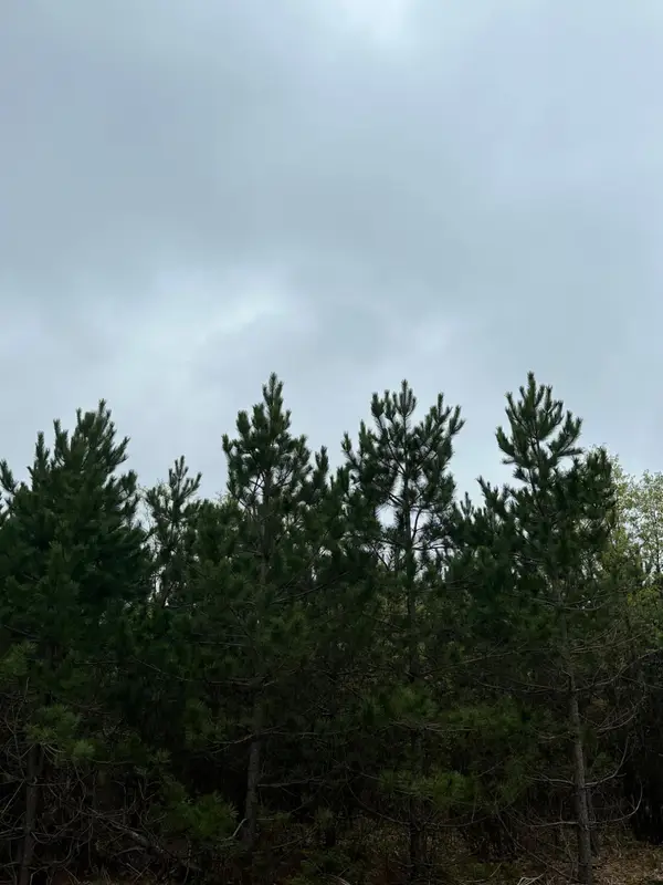 ON Cth Y #Lot 3, Tomahawk, WI 54487