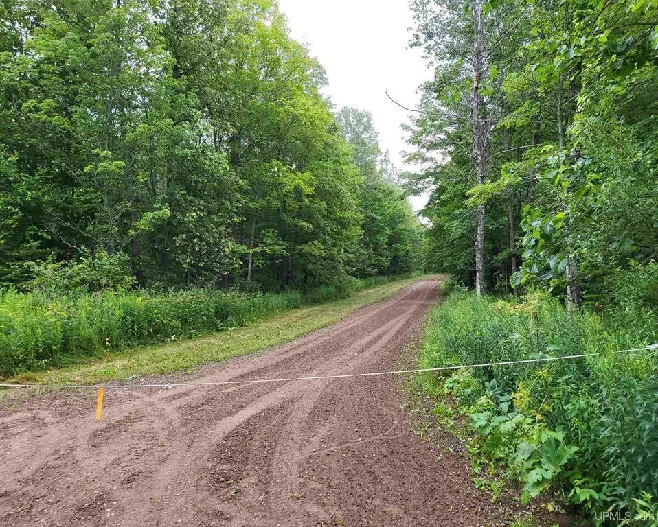 TBD Dream Lake Rd #Lot 2, Long Lake, WI 54542 - #1