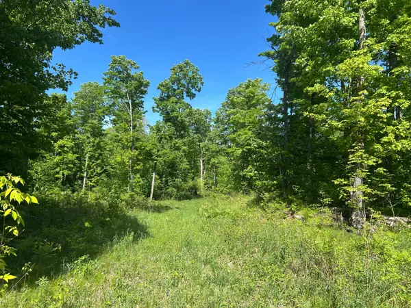 Lot 11 Cth G, Pelican Lake, WI 54463