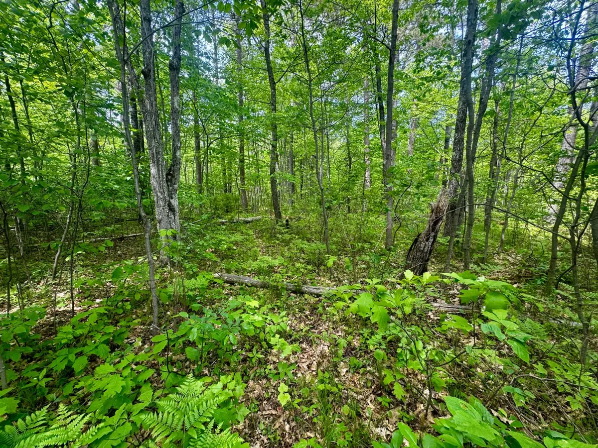 ON Hill And Dale Dr, Minocqua, WI 54548 - #1