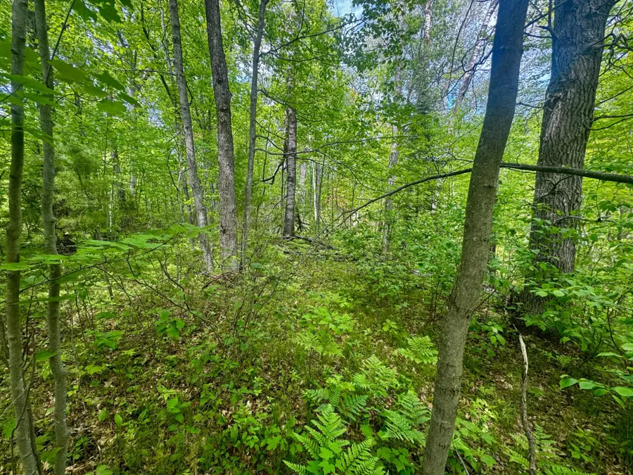 ON Hill And Dale Dr, Minocqua, WI 54548 - #2