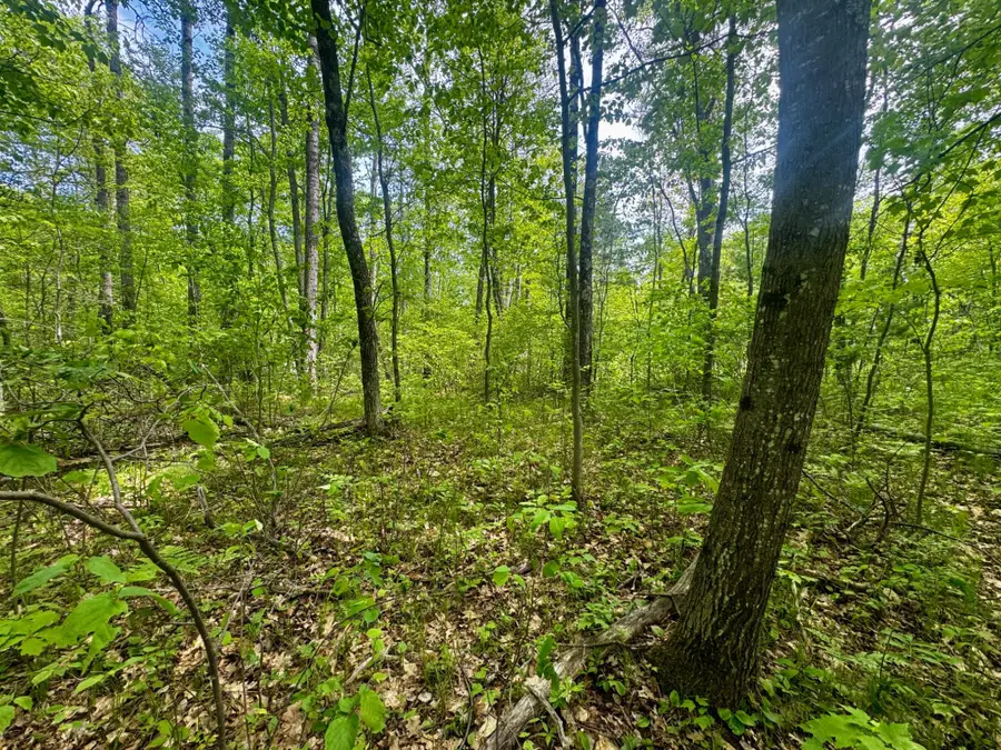 ON Hill And Dale Dr, Minocqua, WI 54548 - #3