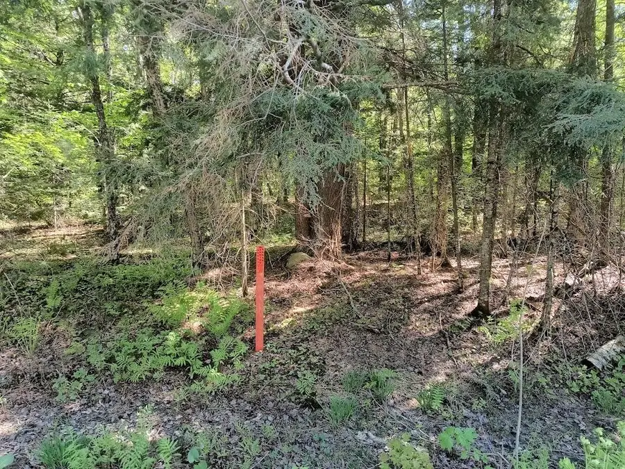 Lot 5 Old Us 2, Watersmeet, MI 49969 - #2