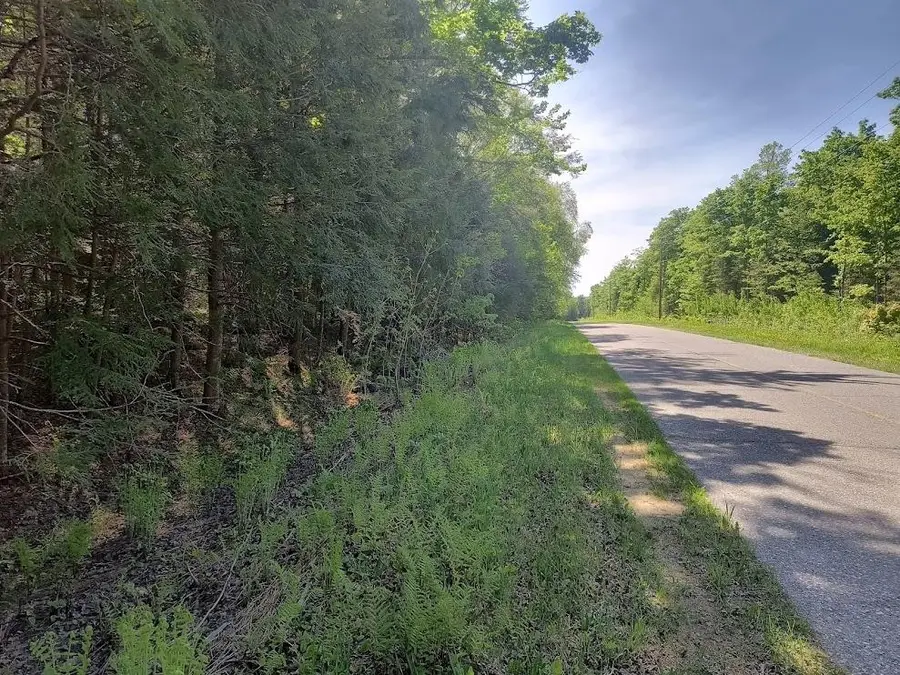 Lot 5 Old Us 2, Watersmeet, MI 49969 - #3