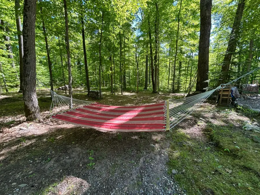 N7499 Peterson Rd, Gleason, WI 54435 - #3