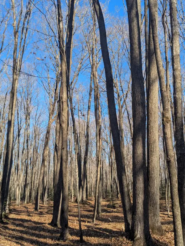 27.5 ac Wausau Rd, Rhinelander, WI 54501