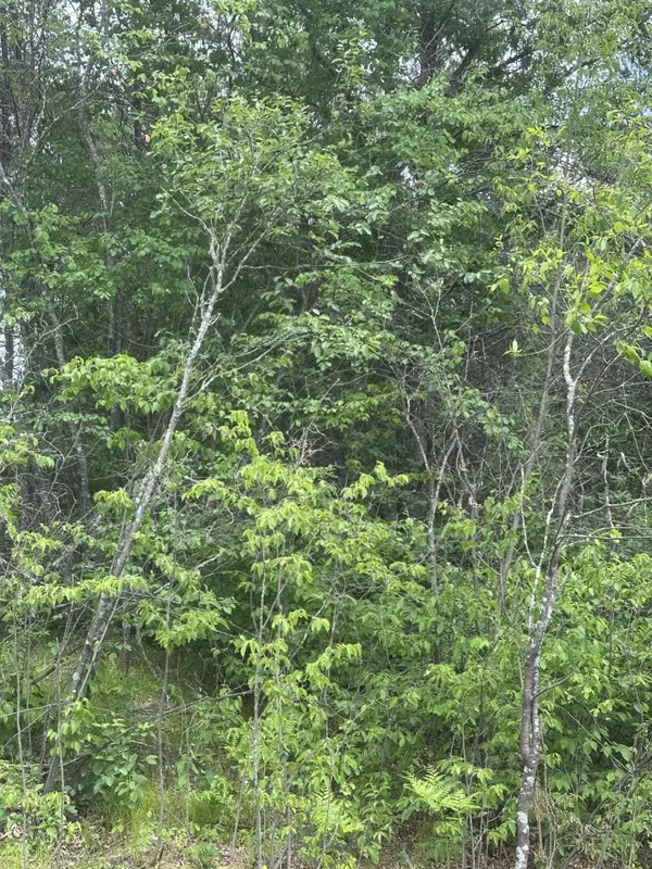ON Cth Y #Lot 1 JNS, Tomahawk, WI 54457