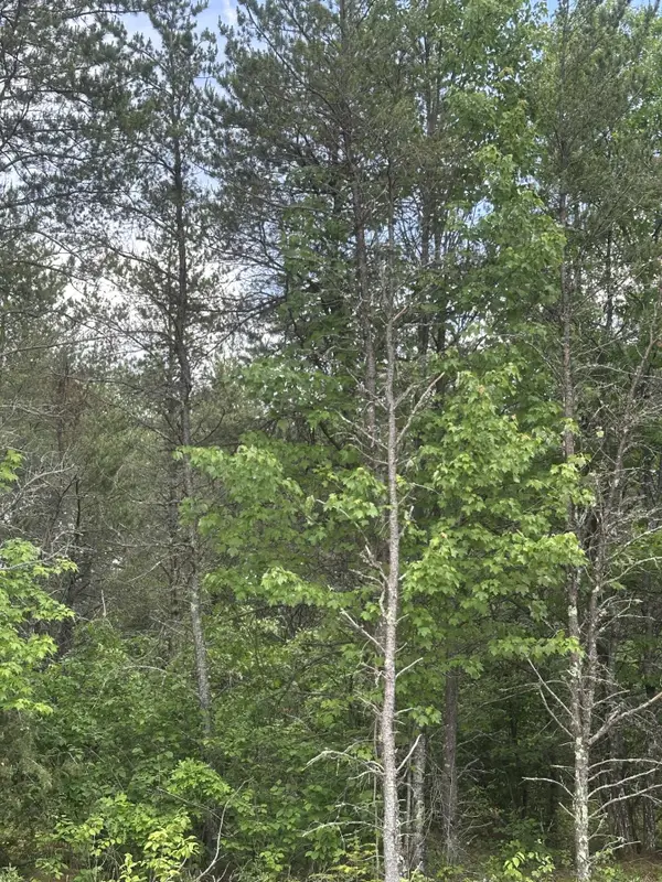 ON Cth Y #Lot 2 JNS, Tomahawk, WI 54457