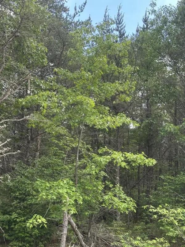ON Cth Y #Lot 3 JNS, Tomahawk, WI 54457