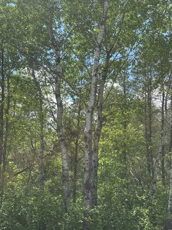 ON Cth Y #Lot 4 JNS, Tomahawk, WI 54457