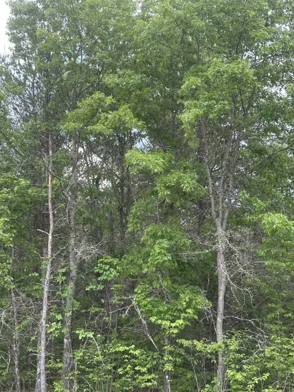 ON Cth Y #Lot 5 JNS, Tomahawk, WI 54457