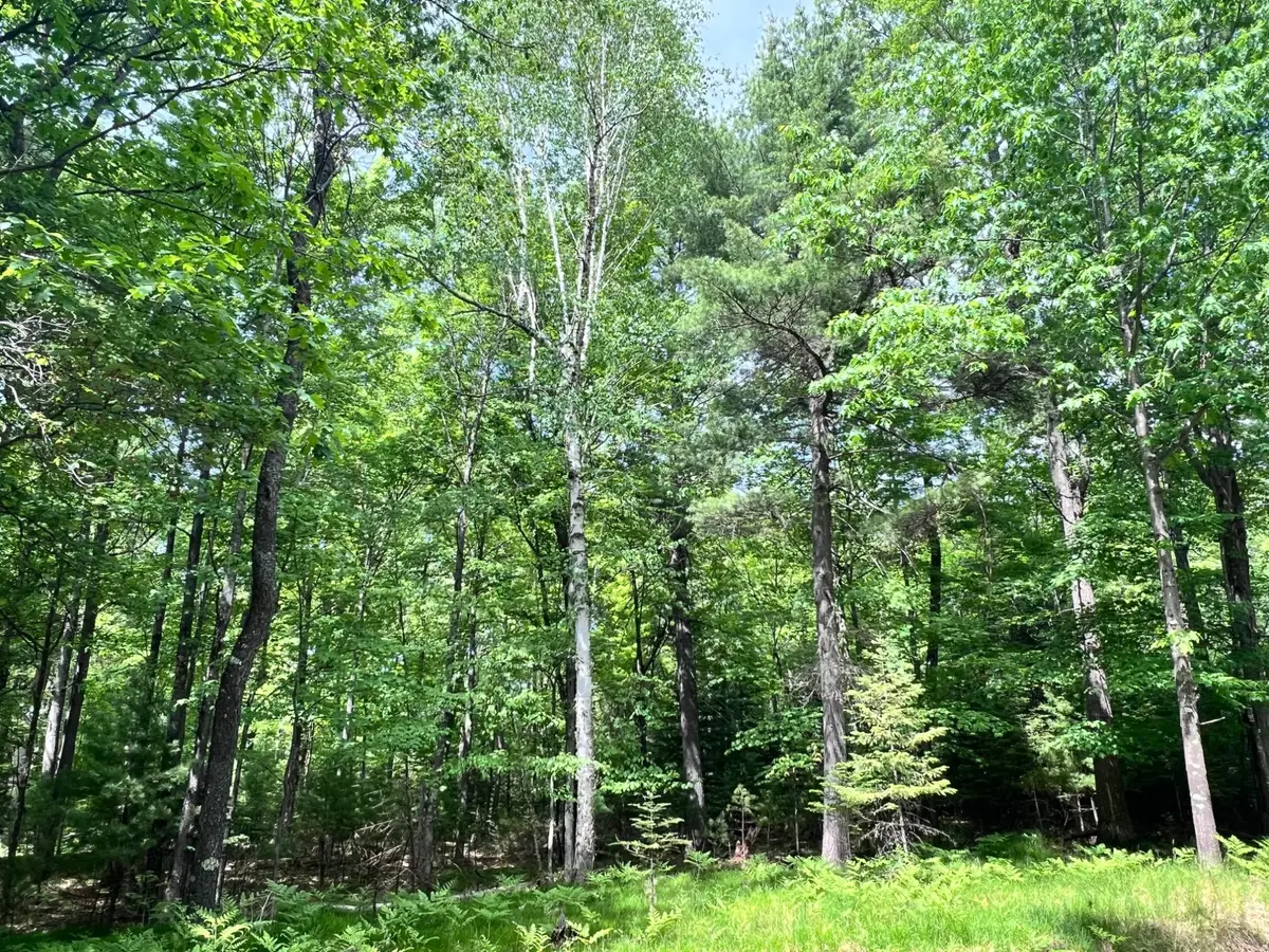 Lot 38 White Pine Dr, Eagle River, WI 54521 - #1