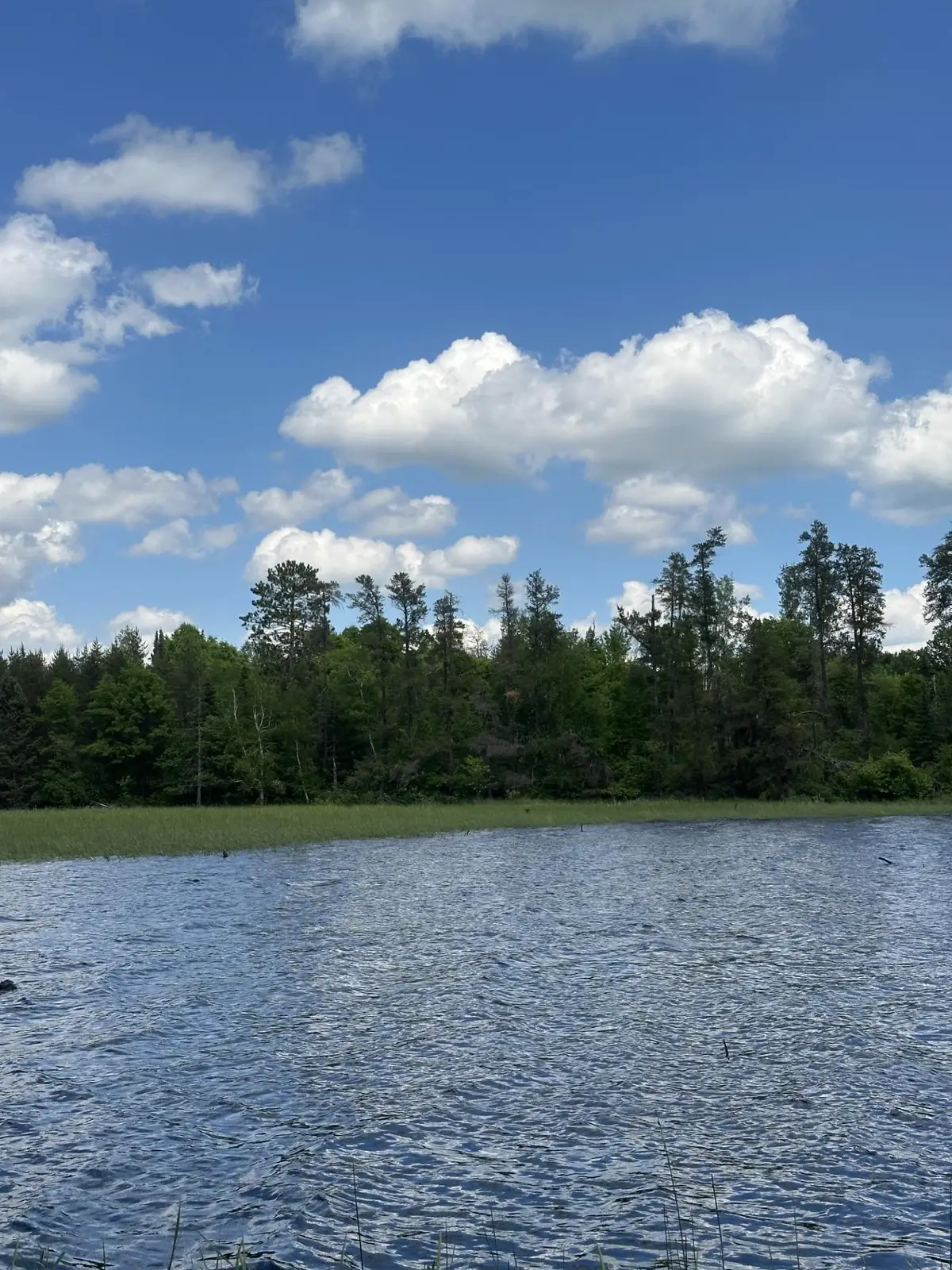 ON Cth Y #Lot 12 JNS, Nokomis, WI 54457 - #1