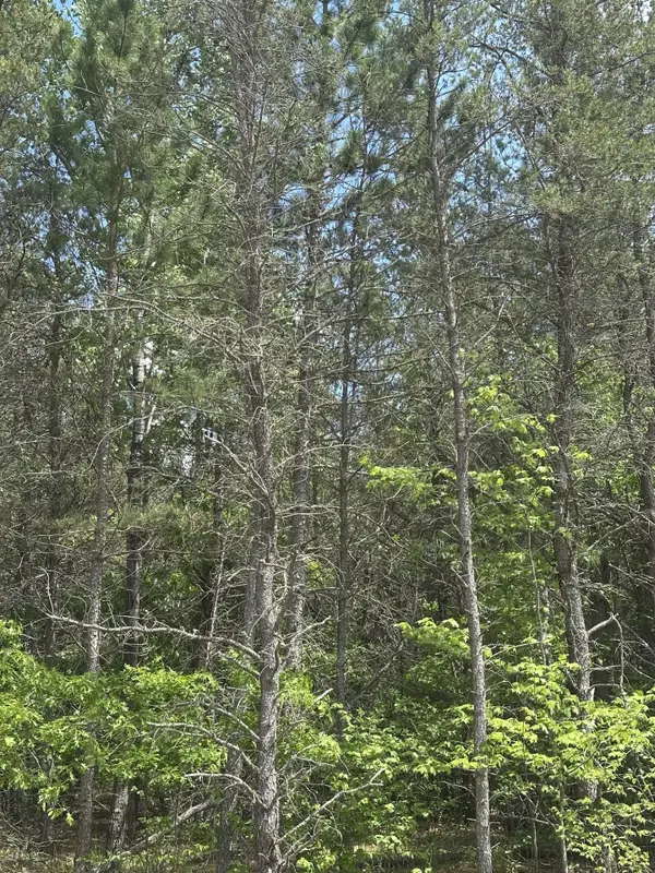 ON Cth Y #Lot 19 JNS, Tomahawk, WI 54457