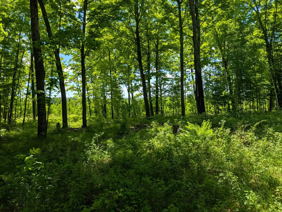Off Bare Acres Ln, Phillips, WI 54555 - #1