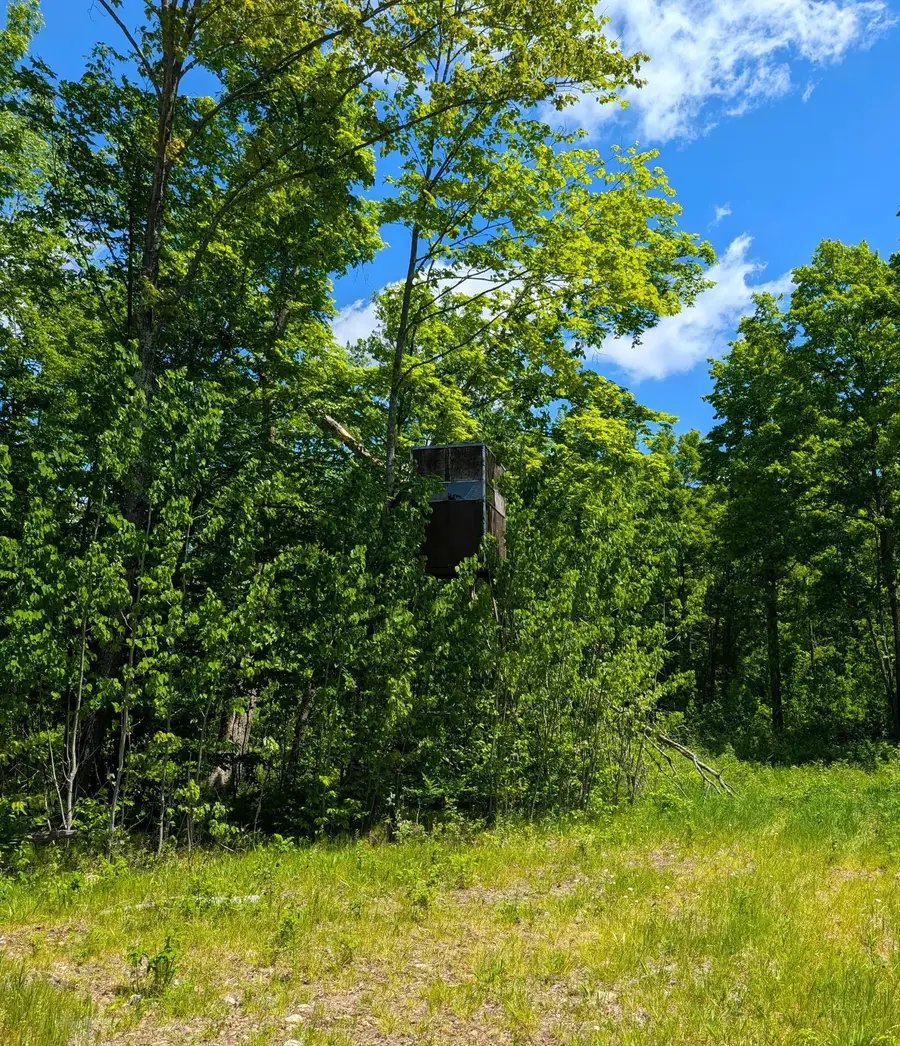 Off Bare Acres Ln, Phillips, WI 54555 - #2