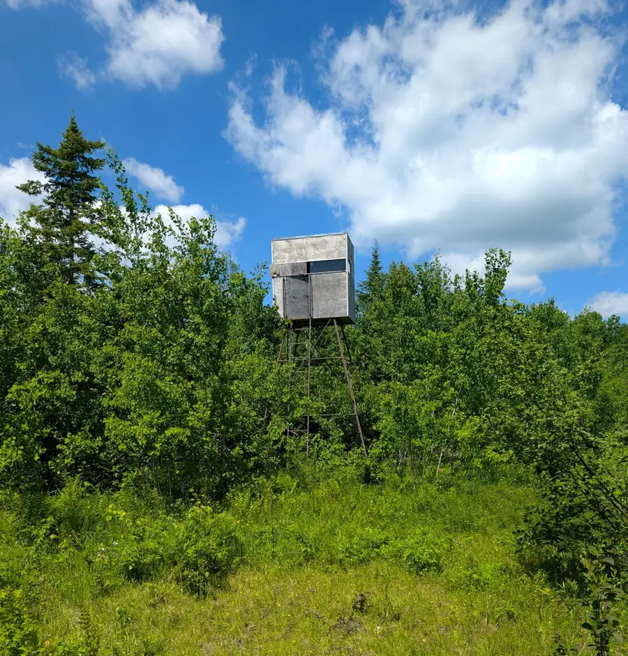 Off Bare Acres Ln, Phillips, WI 54555 - #3