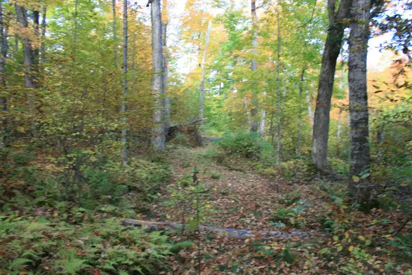 377 University Dr #parcel 3, Iron River, MI 49935