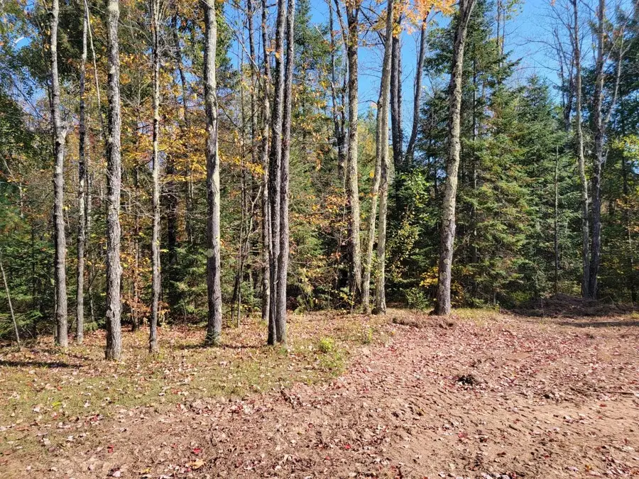 3789W Indian Way, Winter, WI 54896 - #3