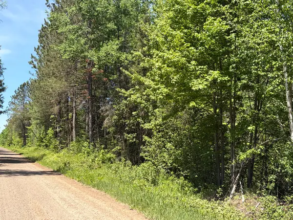 ON Wilson School Rd, Tomahawk, WI 54487