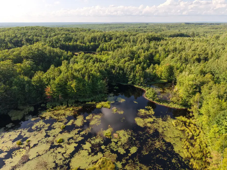 NEAR West Y Rd, Exeland, WI 54835 - #2