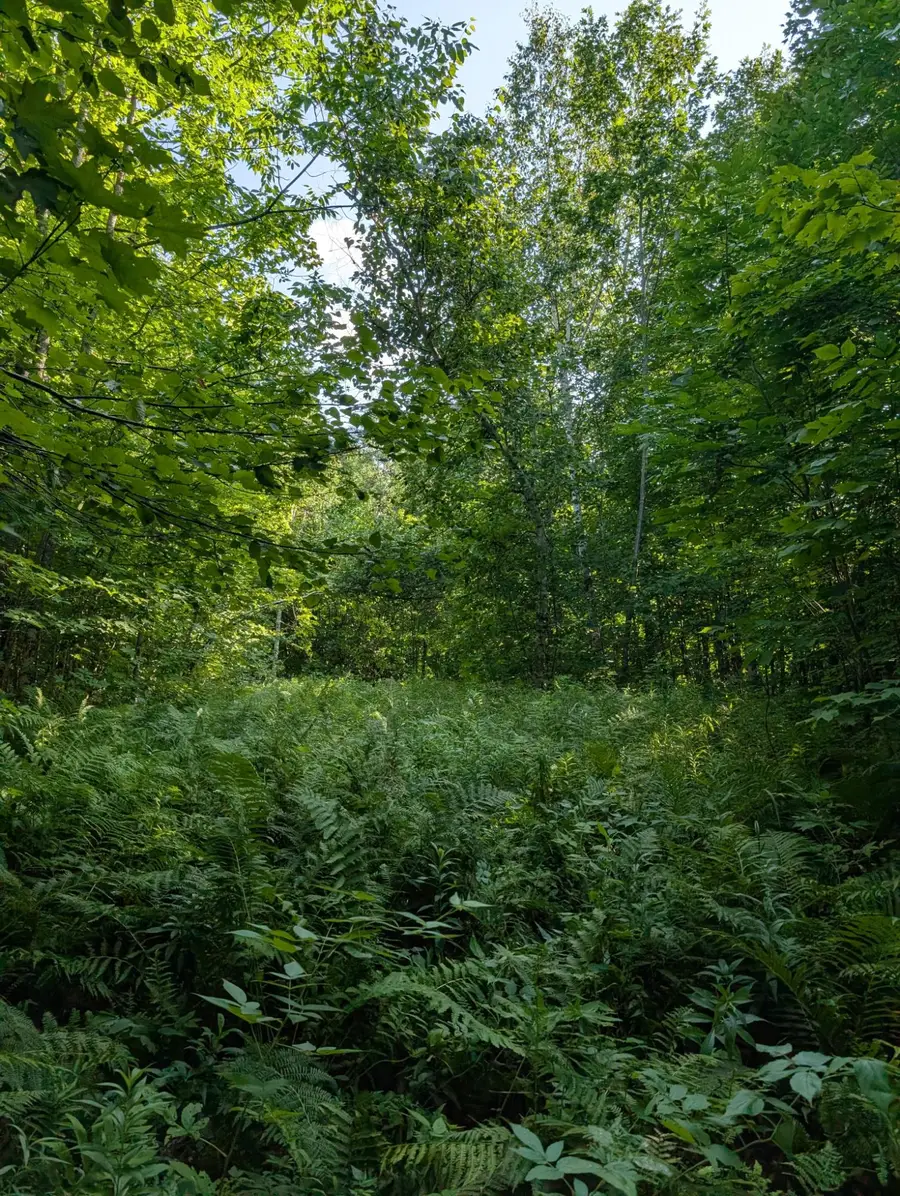 NEAR West Y Rd, Exeland, WI 54835 - #3