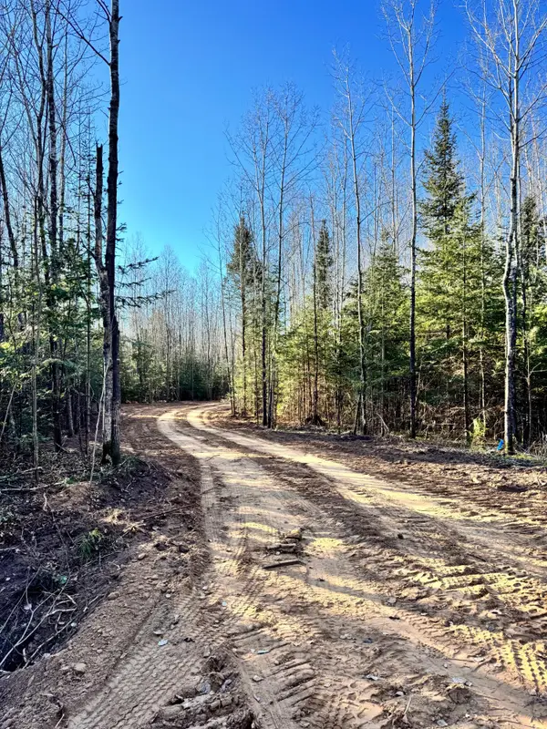 0000 Pine Lake Rd #Lot 1, Minocqua, WI 54548