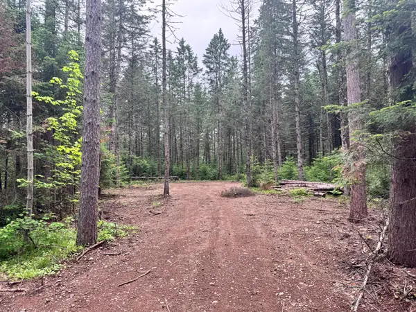 0000 Pine Lake Rd #Lot 2, Minocqua, WI 54548