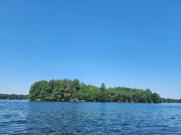 8400 Big Ripley Island, Minocqua, WI 54548