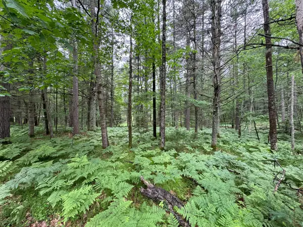 Lot #90 Trailwood Dr, Minocqua, WI 54548