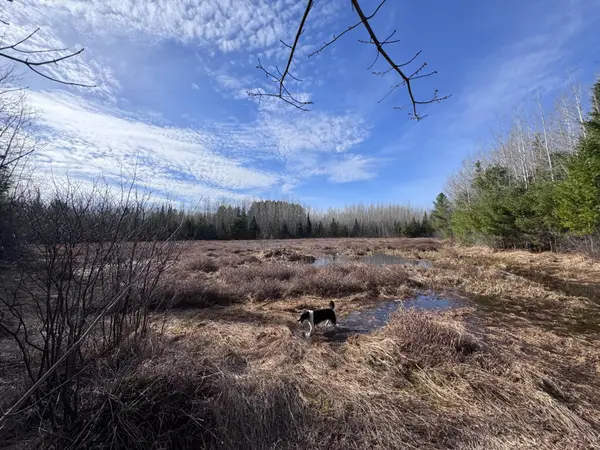 0000 Pine Lake Rd #268 Acres, Minocqua, WI 54548