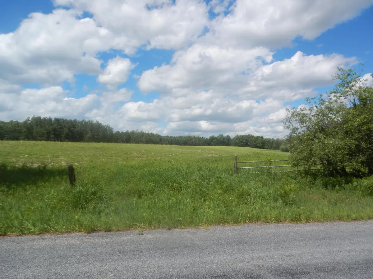 ON Max Rd, Pelican Lake, WI 54463 - #1
