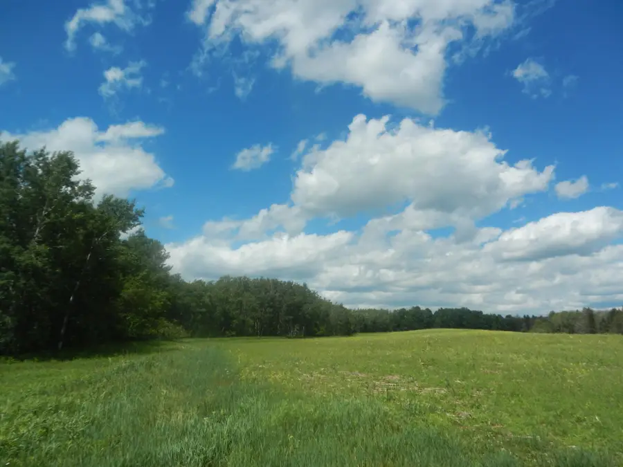 ON Max Rd, Pelican Lake, WI 54463 - #2