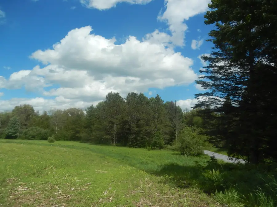 ON Max Rd, Pelican Lake, WI 54463 - #3