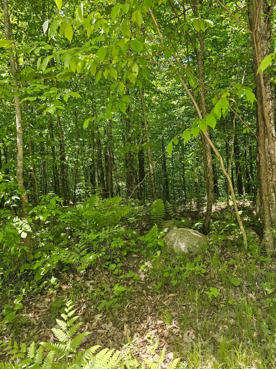 N12379 Red Rock Rd, Silver Cliff, WI 54104 - #2