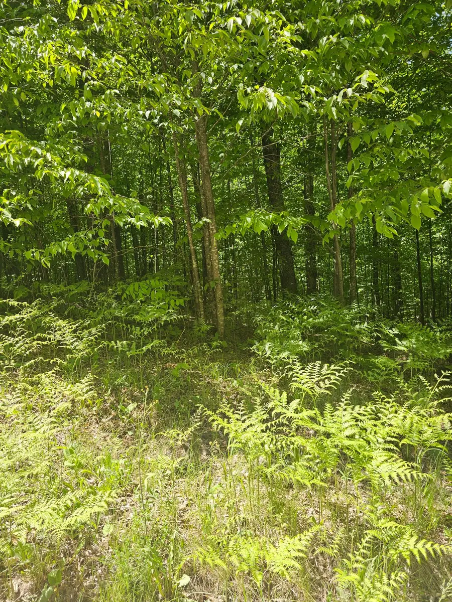 N12379 Red Rock Rd, Silver Cliff, WI 54104 - #3