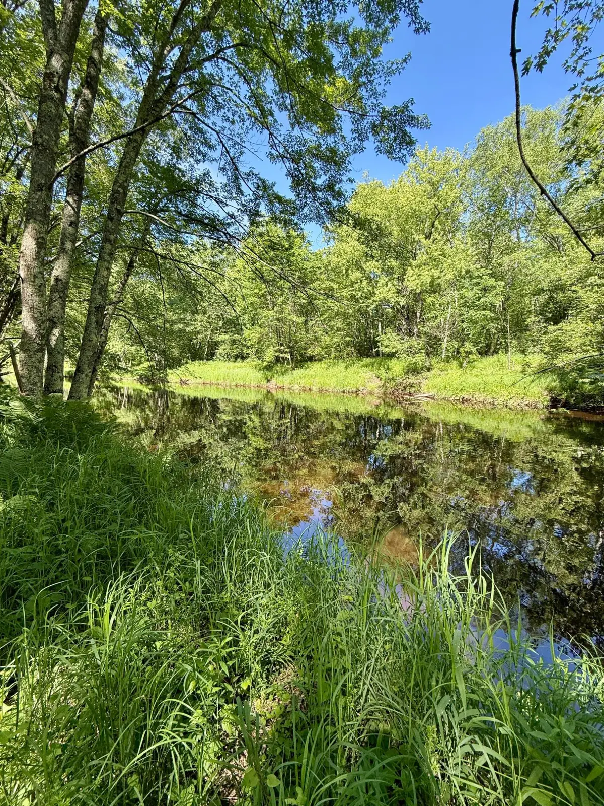 Lot 7 Pine River Rd, Merrill, WI 54452 - #1
