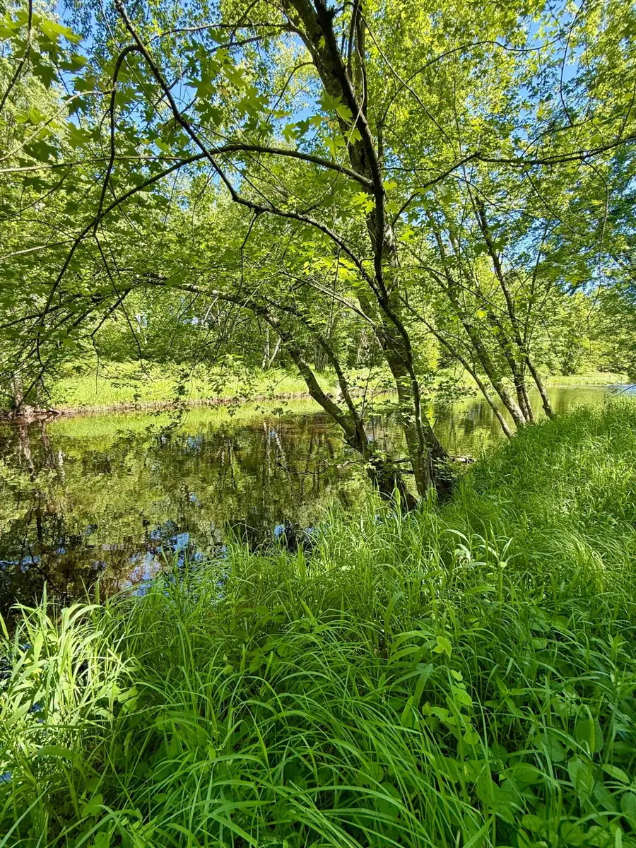 Lot 7 Pine River Rd, Merrill, WI 54452 - #2