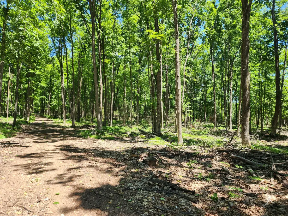 ON Rocky Siding Ln #4.93 Acres, Crandon, WI 54520 - #1
