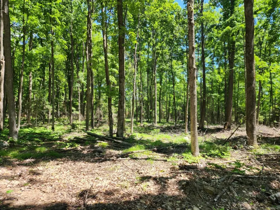 ON Rocky Siding Ln #4.93 Acres, Crandon, WI 54520 - #2