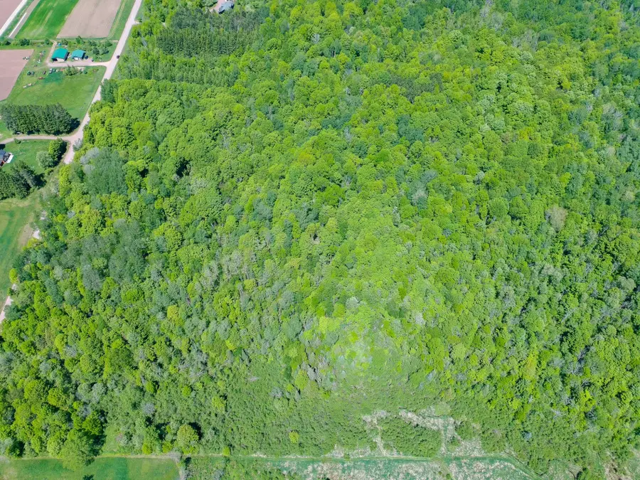 Acres Broeniman Rd #+/- 40, High Bridge, WI 54846 - #3