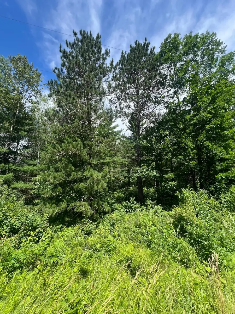 TBD Hwy 141, Crystal Falls, MI 49920 - #2