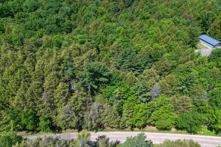 Lot 5 Four Mile Creek Rd, Three Lakes, WI 54562 - #2