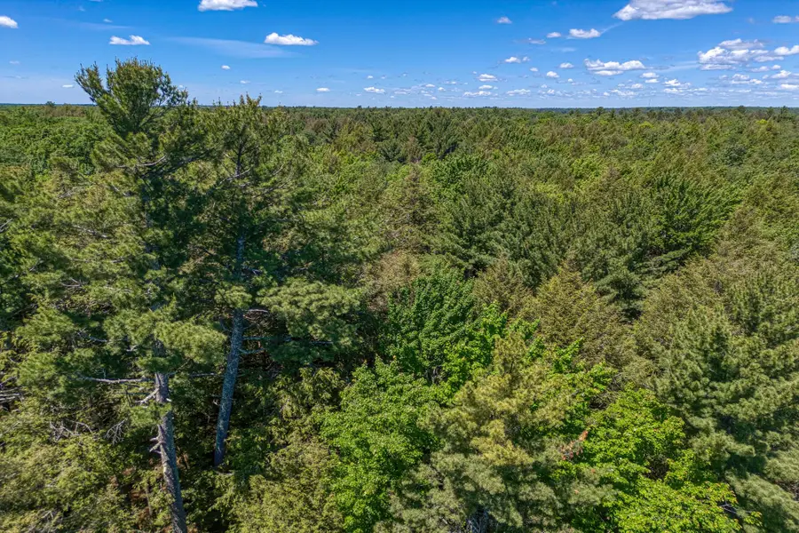 Lot 5 Four Mile Creek Rd, Three Lakes, WI 54562 - #3