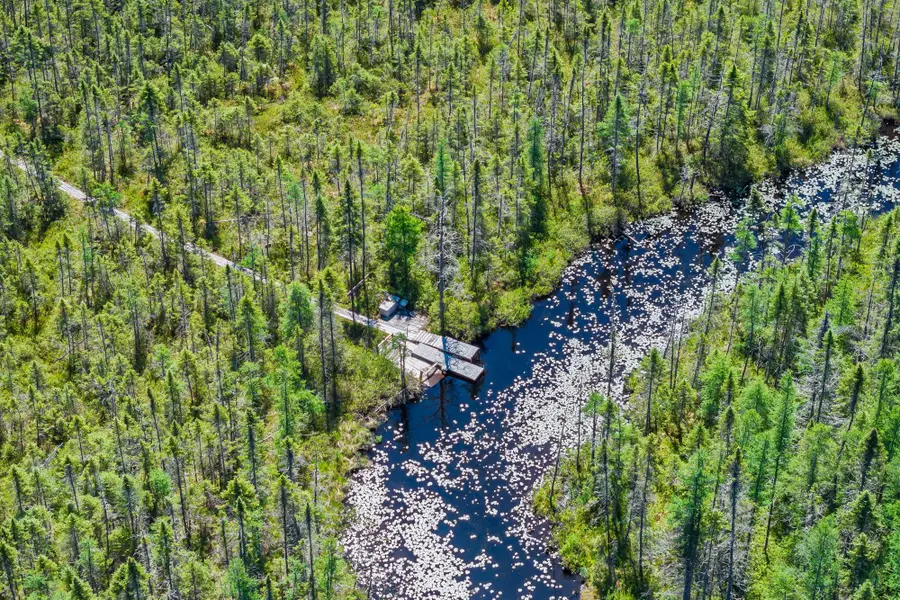 10997 Patrice Pines Ln, Minocqua, WI 54548 - #3