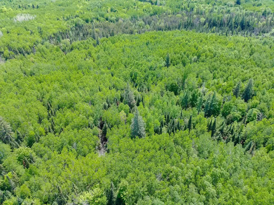 Acres Neuberger Rd #+/- 55.77, Glidden, WI 54527 - #2
